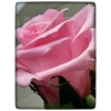 Kép 1/6 - Örök rózsa szál díszdobozban Prmémium 55cm